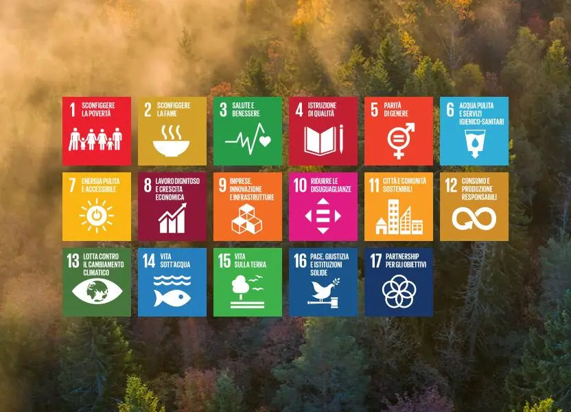 SDGs