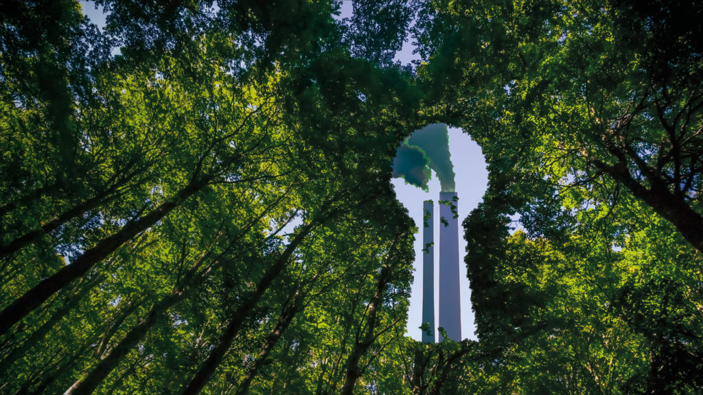 Greenwashing