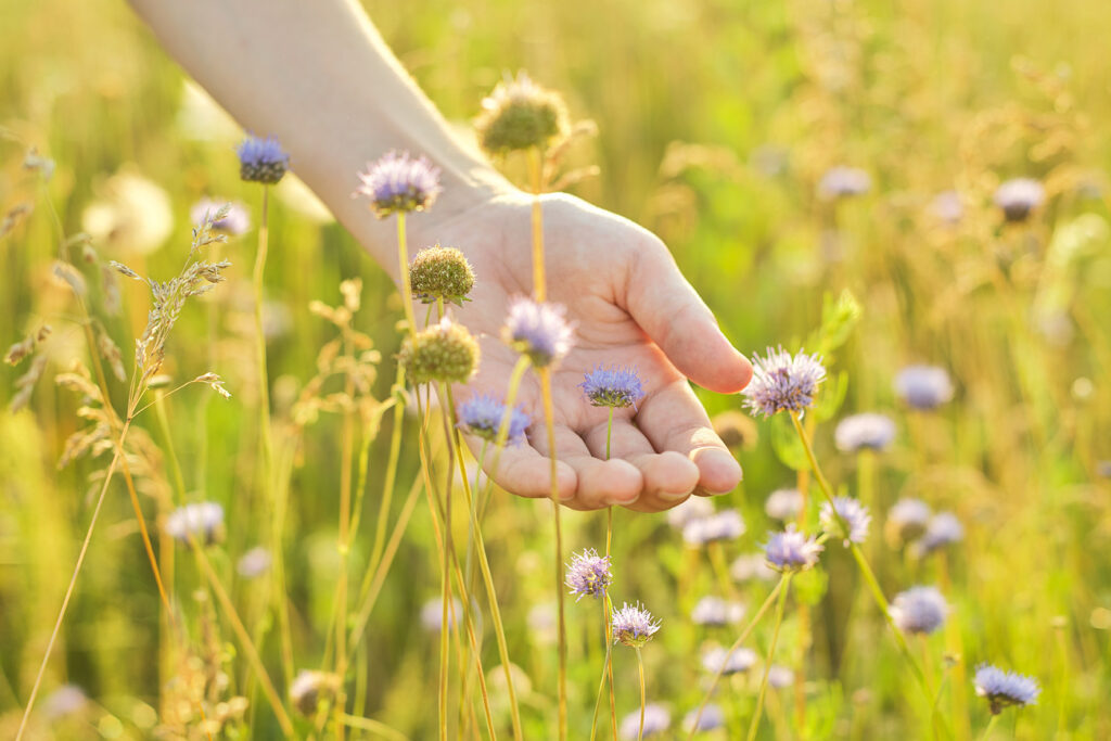 tutela della biodiversità