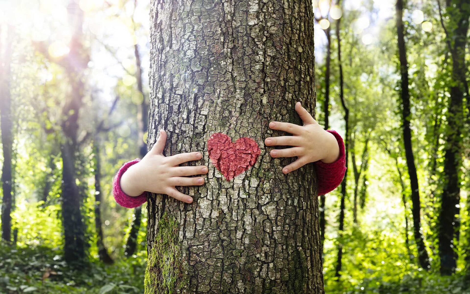 un bambino che abbraccia un tronco d'albero con un cuore inciso sopra