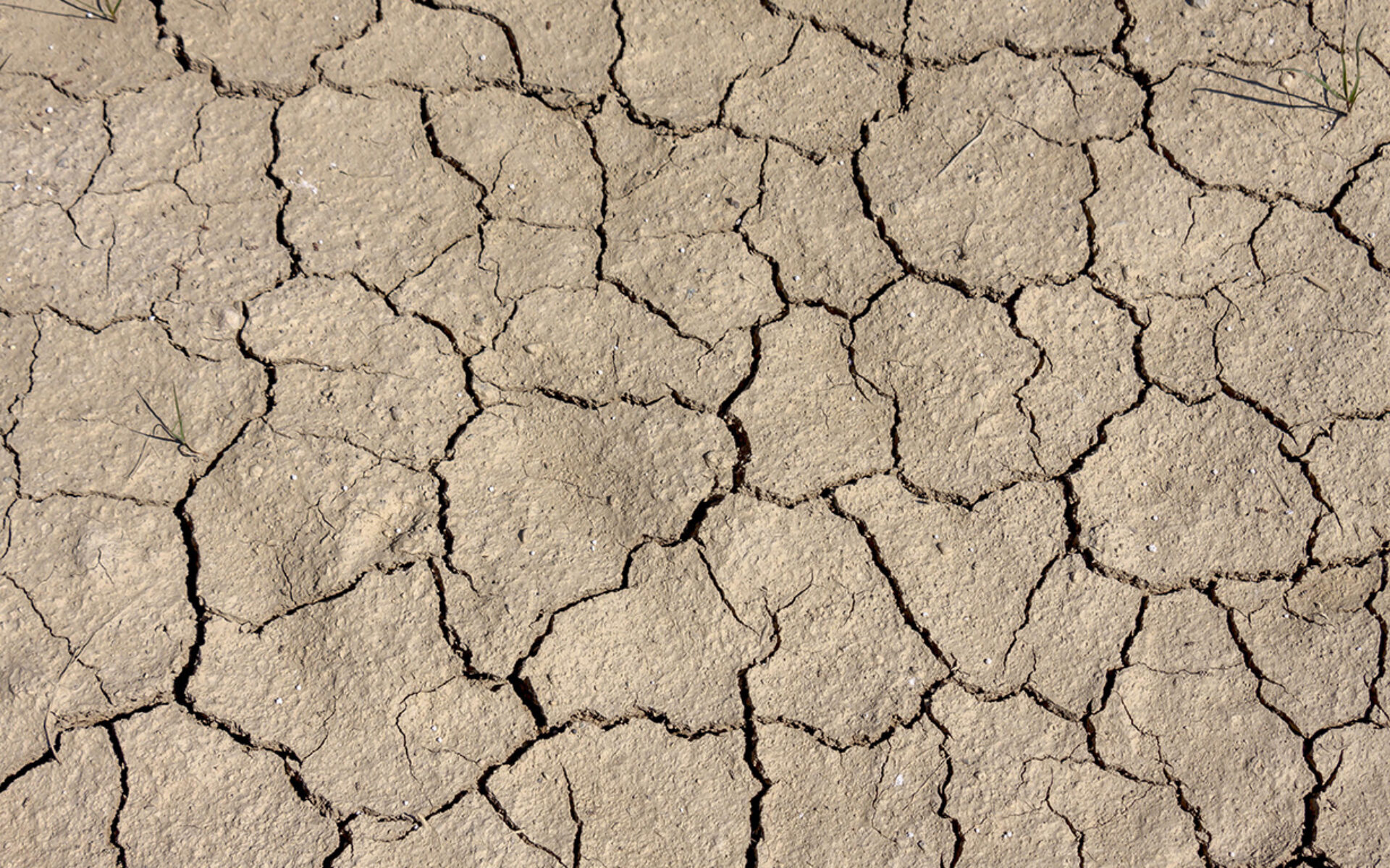 cambiamenti climatici